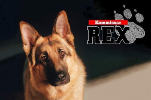 Rex felügyelő III./5. tartalma - Prime (HD) 2024.04.25 15:50