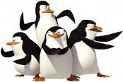 tv-műsor: A Madagaszkár Pingvinjei I./17.
