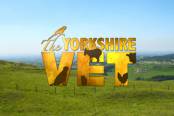 tv-műsor: A Yorkshire-i állatorvos I./5.