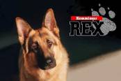 tv-műsor: Rex felügyelő III./6.